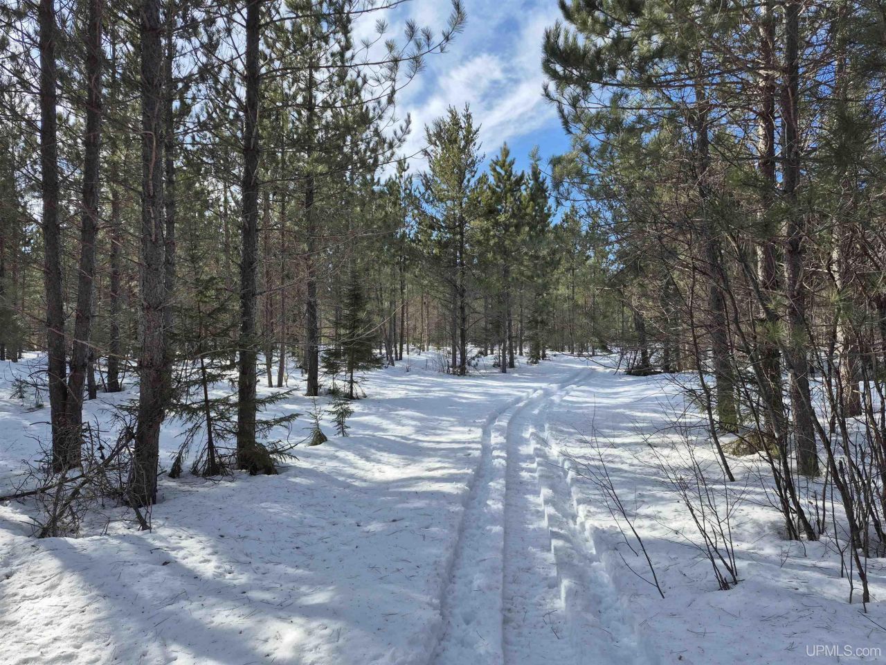 40 Acres Off County Cv Road, Ely Twp, MI 49814 Main Photo