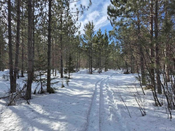 40 Acres off County CV Road, Ely Twp, MI 49814