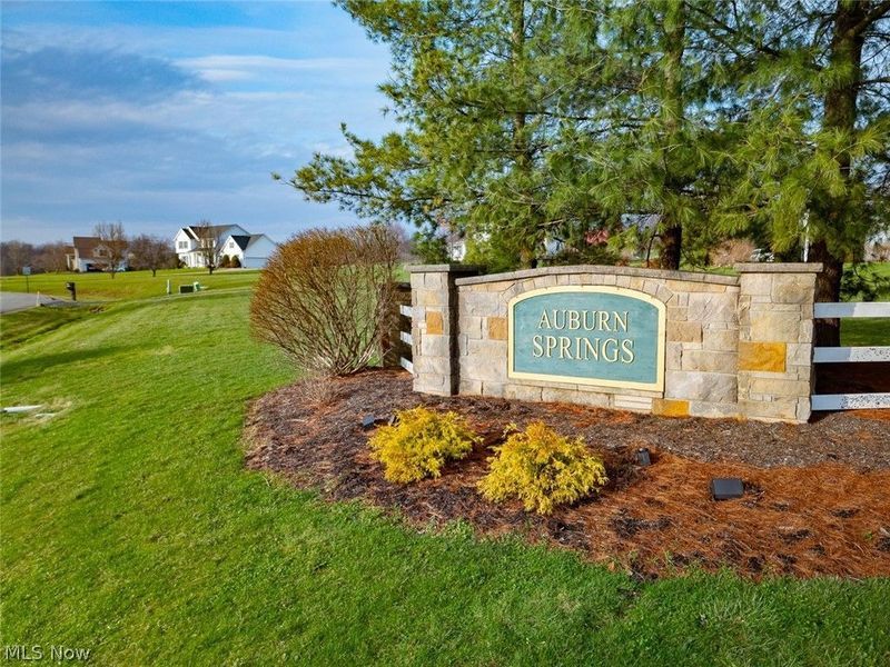 16625 Auburn Springs Drive, Chagrin Falls, OH 44023 Photo 45