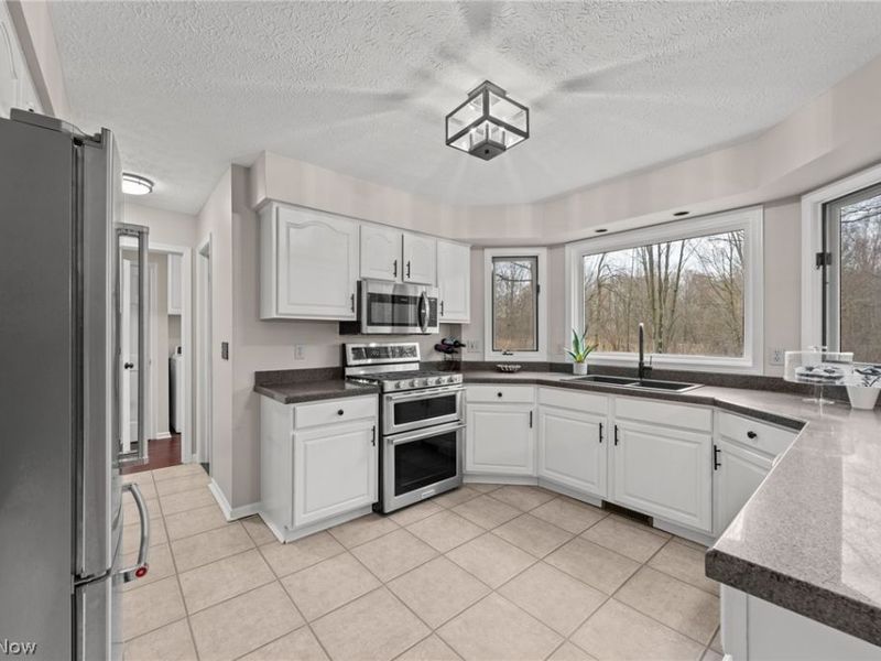 917 Silverberry Lane, Hudson, OH 44236 Photo 11