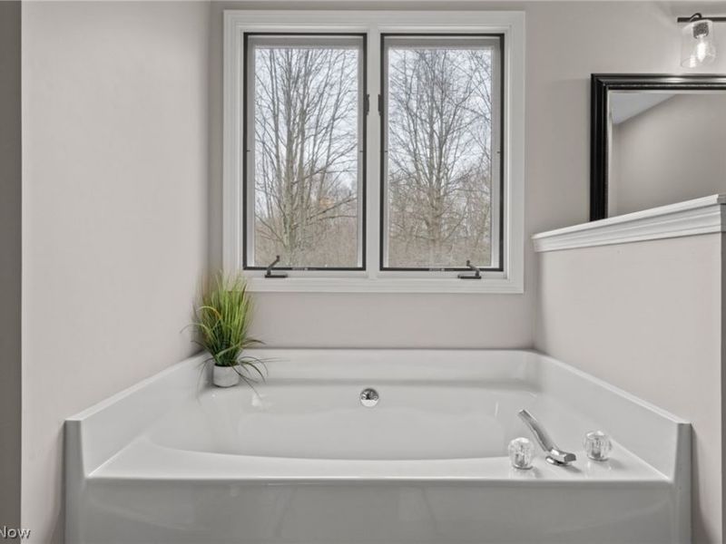 917 Silverberry Lane, Hudson, OH 44236 Photo 26