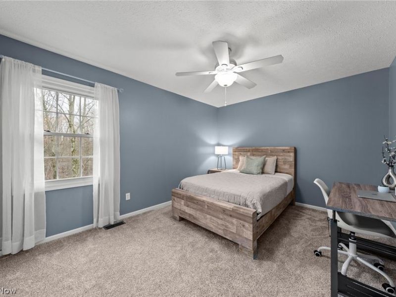 917 Silverberry Lane, Hudson, OH 44236 Photo 29