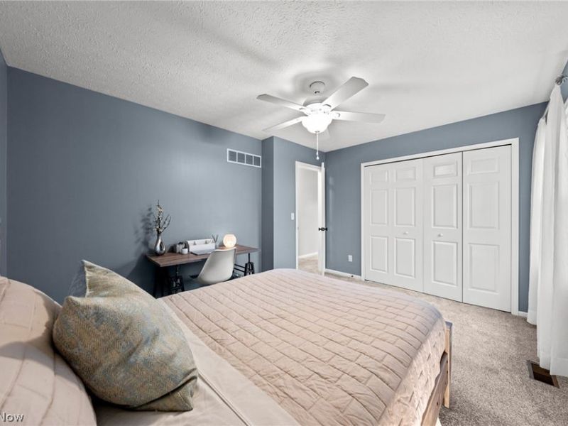 917 Silverberry Lane, Hudson, OH 44236 Photo 30