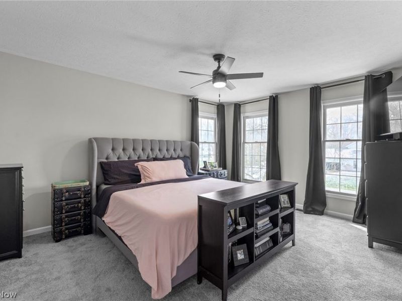 965 Silverberry Lane, Hudson, OH 44236 Photo 26