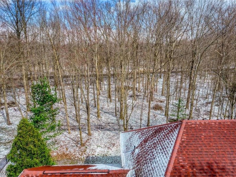 965 Silverberry Lane, Hudson, OH 44236 Photo 41