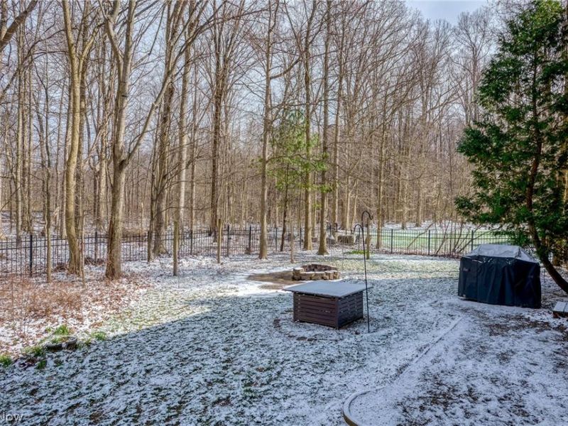 965 Silverberry Lane, Hudson, OH 44236 Photo 42