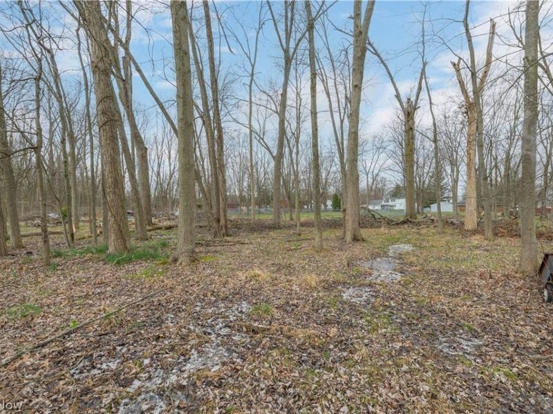 5610 Dorothy Drive, North Olmsted, OH 44070 Photo 49