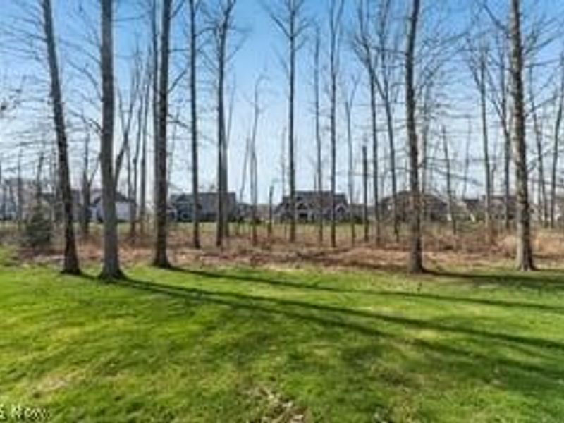 1800 Bur Oak Drive, Westlake, OH 44145 Photo 5