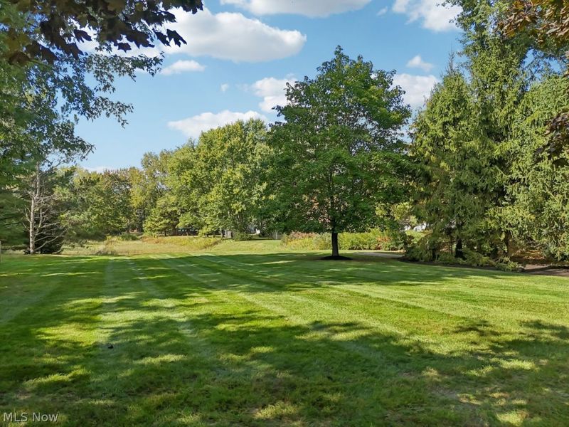 7282 Thornapple Lane, Solon, OH 44139 Photo 44