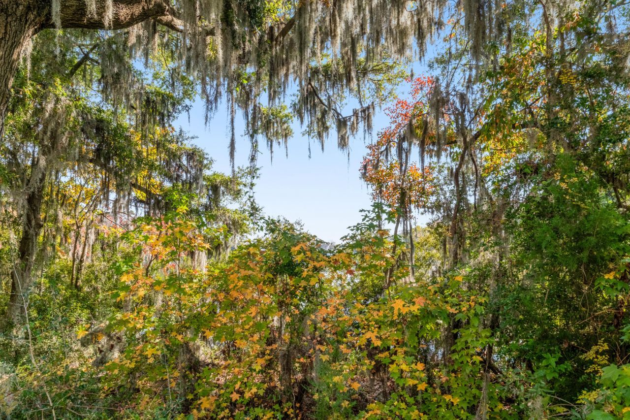 1510 Cecile Street Photo 40