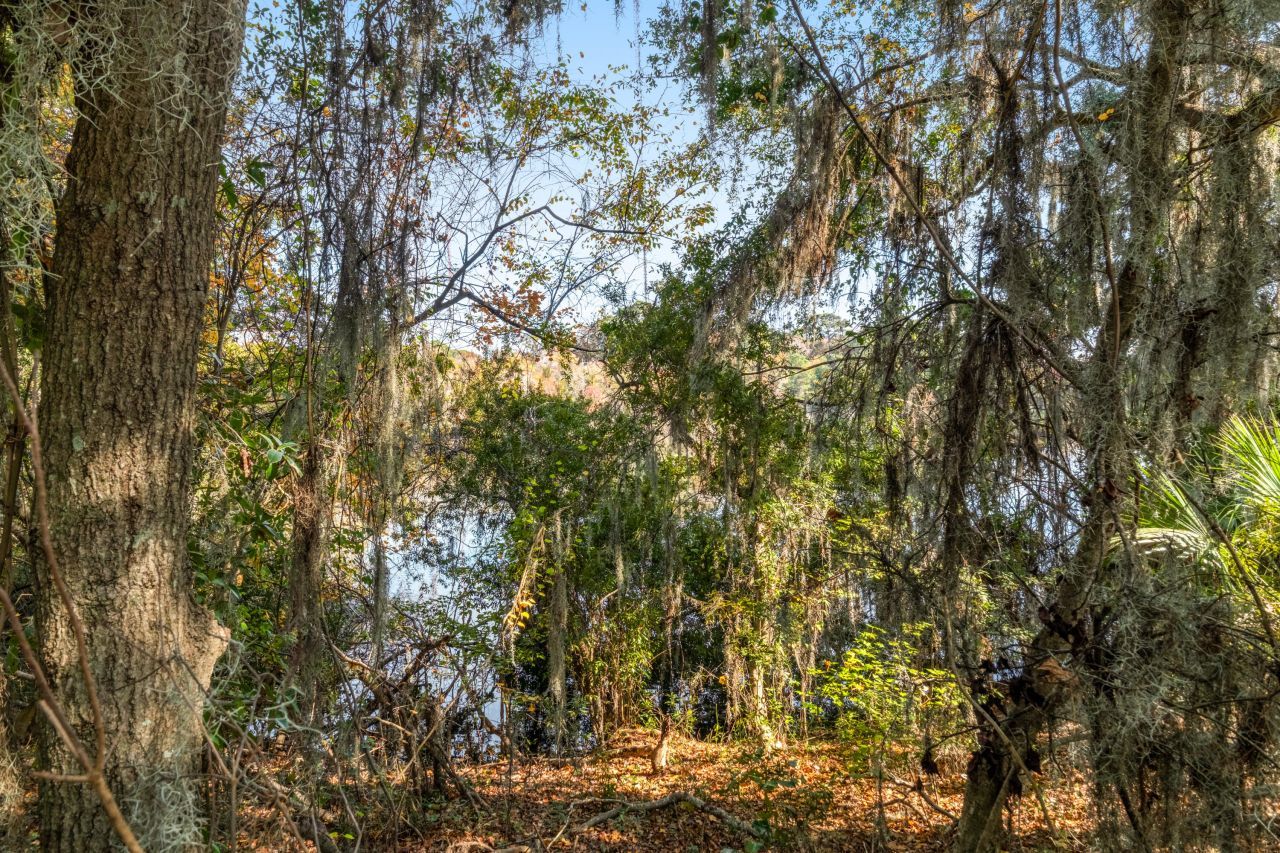 1510 Cecile Street Photo 41