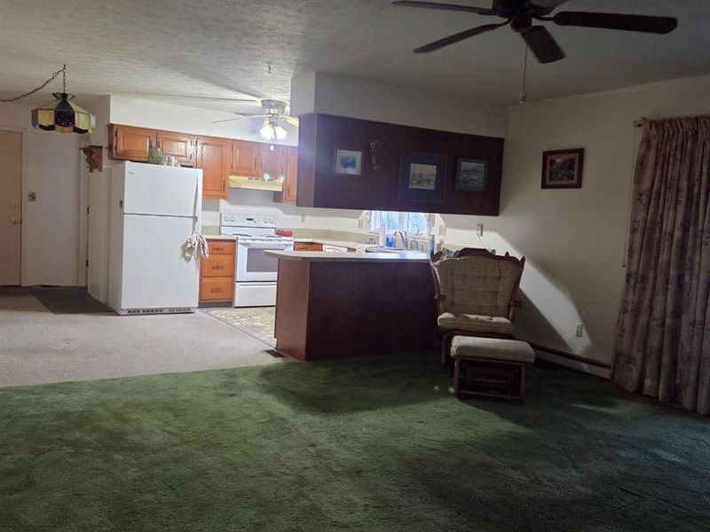 1111 Grant Street, Port Clinton, OH 43452 Photo 4