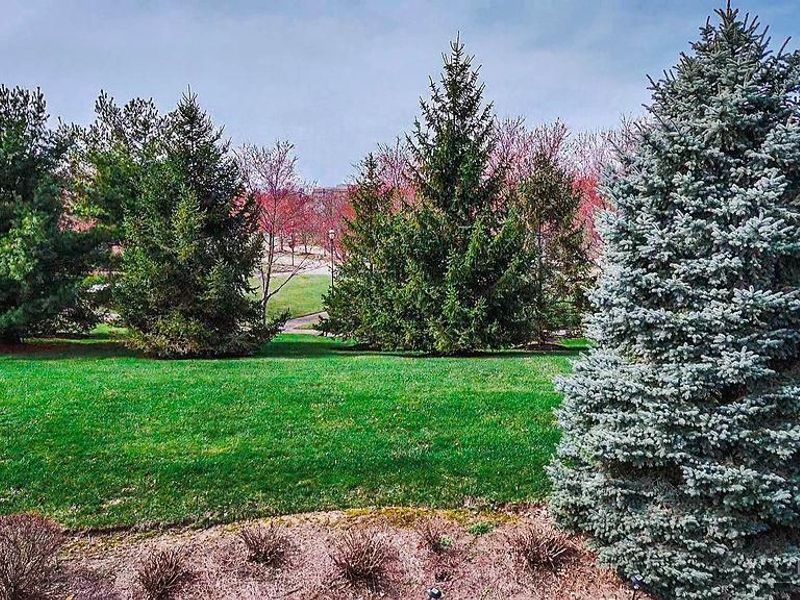 11753 Thayer Lane, Cincinnati, OH 45249 Photo 33