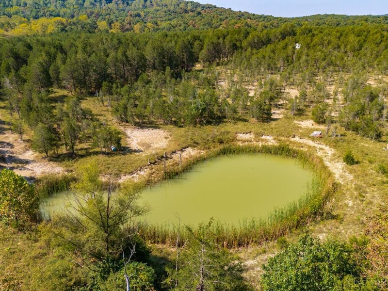 0 St Rt 41, West Union, OH 45693 Photo 16