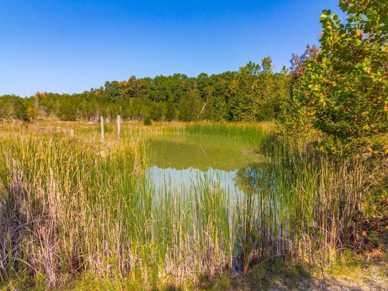 0 St Rt 41, West Union, OH 45693 Photo 22