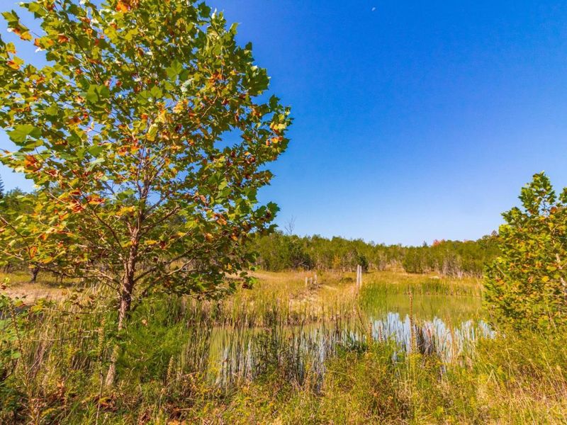 0 St Rt 41, West Union, OH 45693 Photo 23