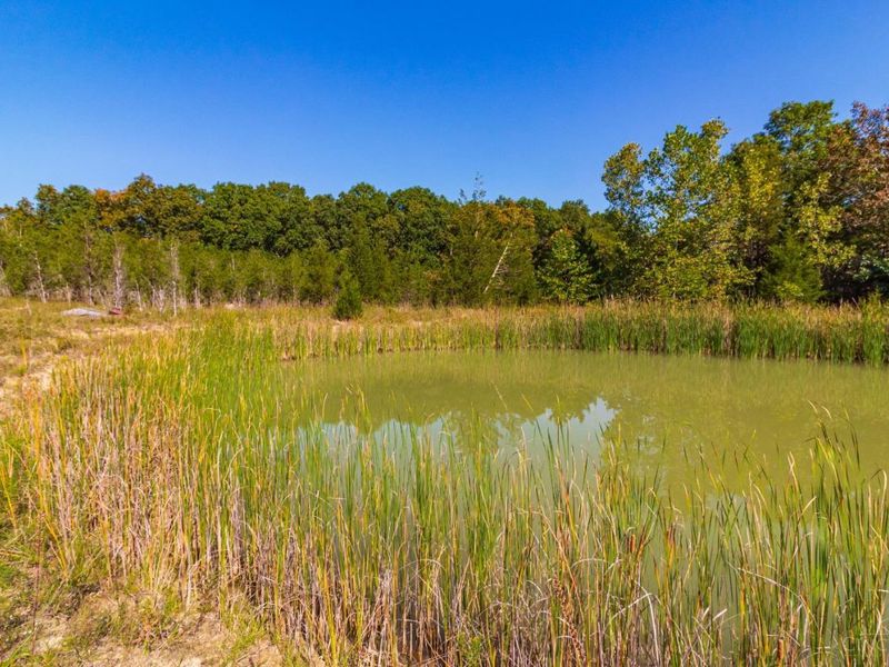 0 St Rt 41, West Union, OH 45693 Photo 26