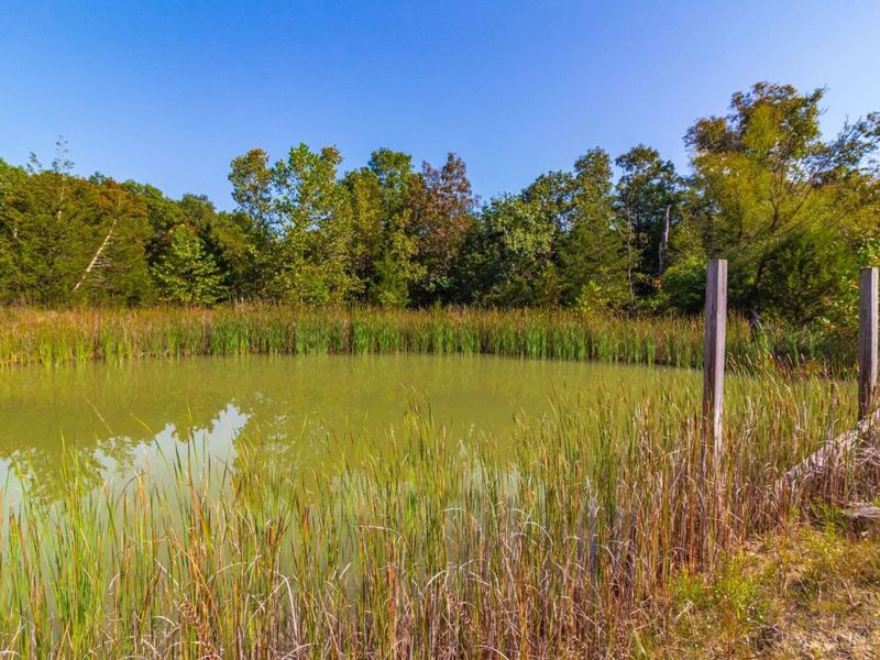 0 St Rt 41, West Union, OH 45693 Photo 27