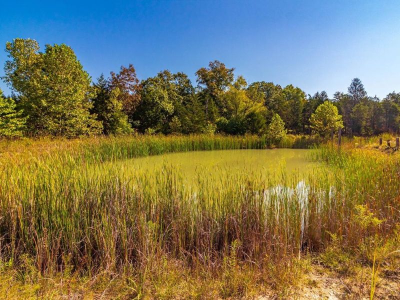 0 St Rt 41, West Union, OH 45693 Photo 28