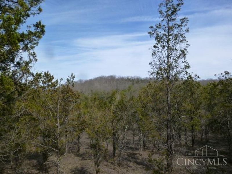 0 St Rt 41, West Union, OH 45693 Photo 34