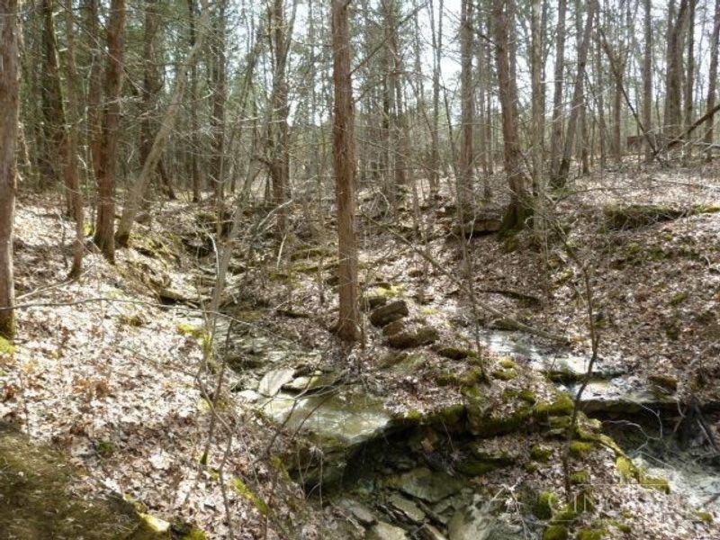 0 St Rt 41, West Union, OH 45693 Photo 35