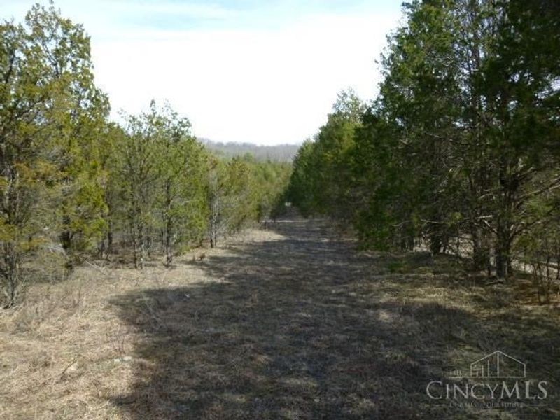 0 St Rt 41, West Union, OH 45693 Photo 36