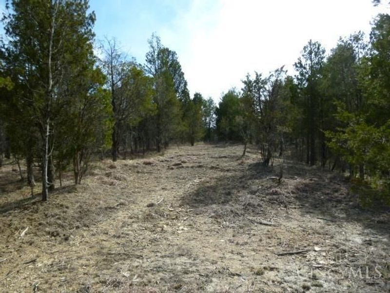 0 St Rt 41, West Union, OH 45693 Photo 37