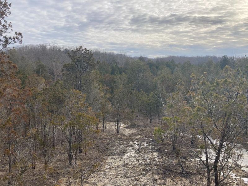 0 St Rt 41, West Union, OH 45693 Photo 38