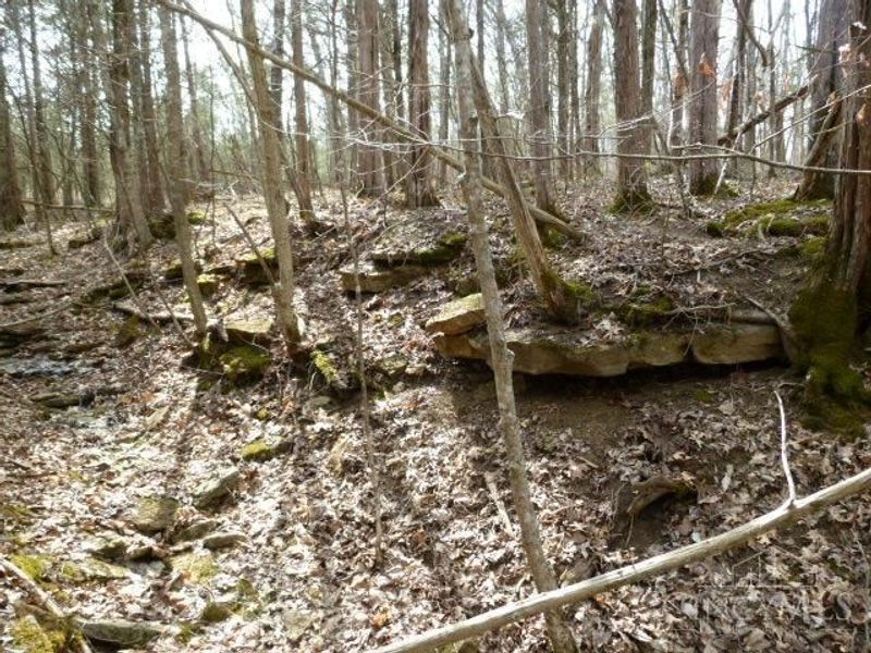 0 St Rt 41, West Union, OH 45693 Photo 40