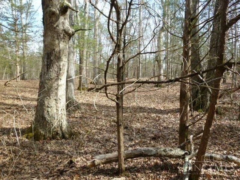 0 St Rt 41, West Union, OH 45693 Photo 41