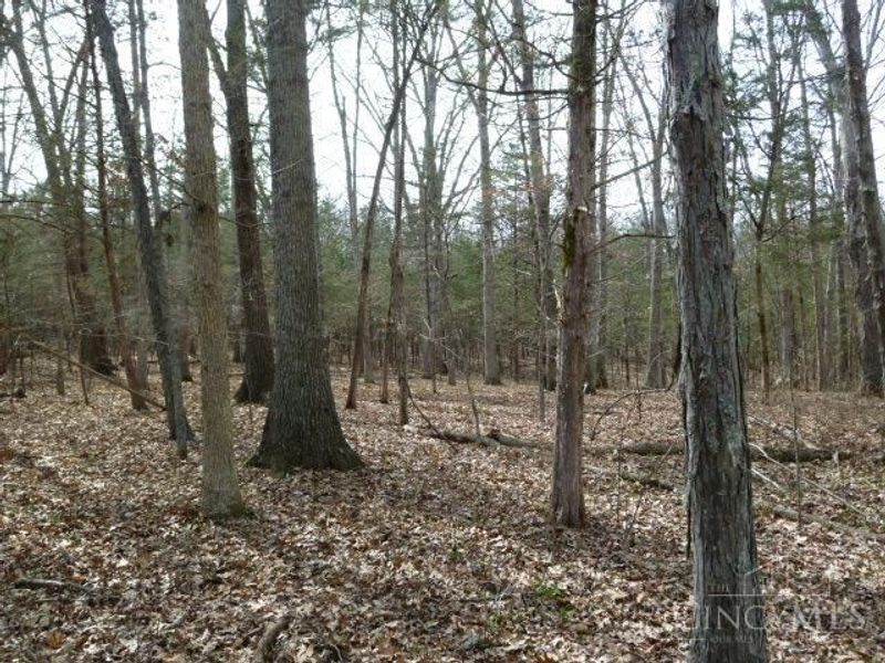 0 St Rt 41, West Union, OH 45693 Photo 42