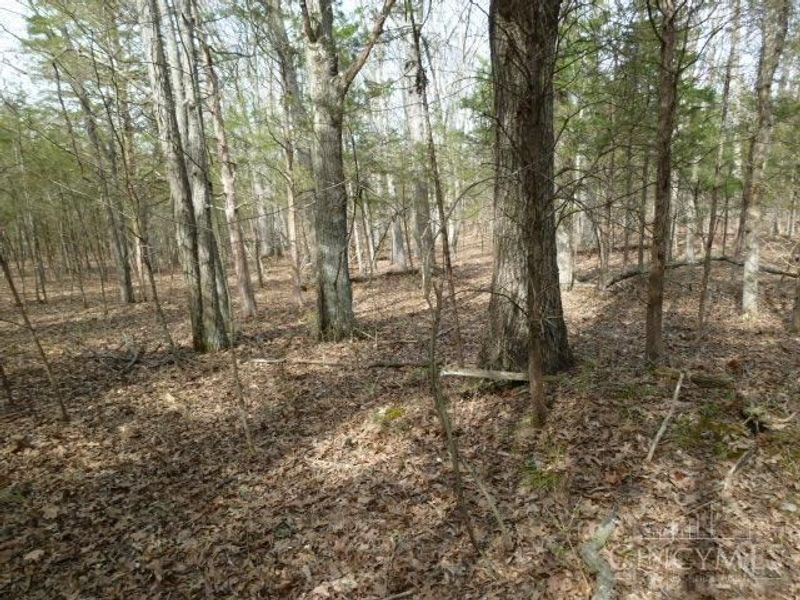 0 St Rt 41, West Union, OH 45693 Photo 43