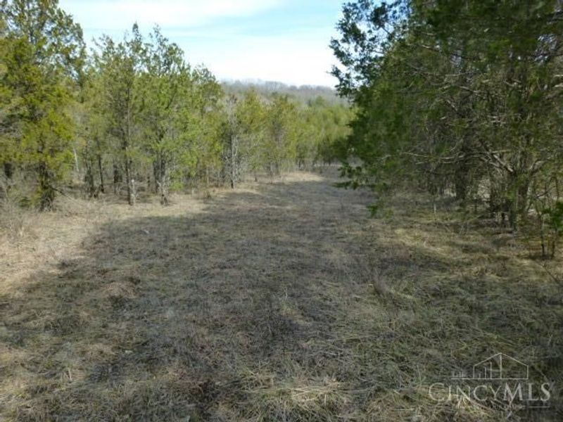 0 St Rt 41, West Union, OH 45693 Photo 44