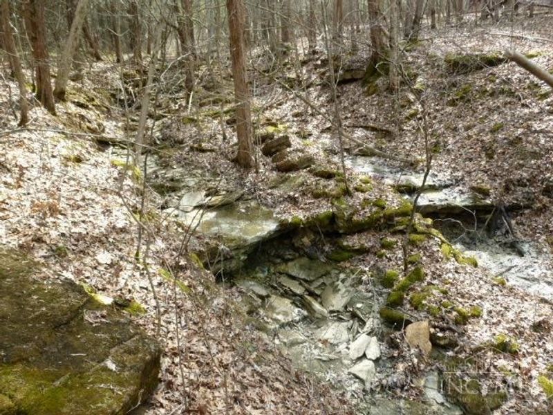 0 St Rt 41, West Union, OH 45693 Photo 45