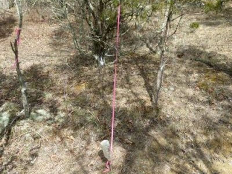 0 St Rt 41, West Union, OH 45693 Photo 46