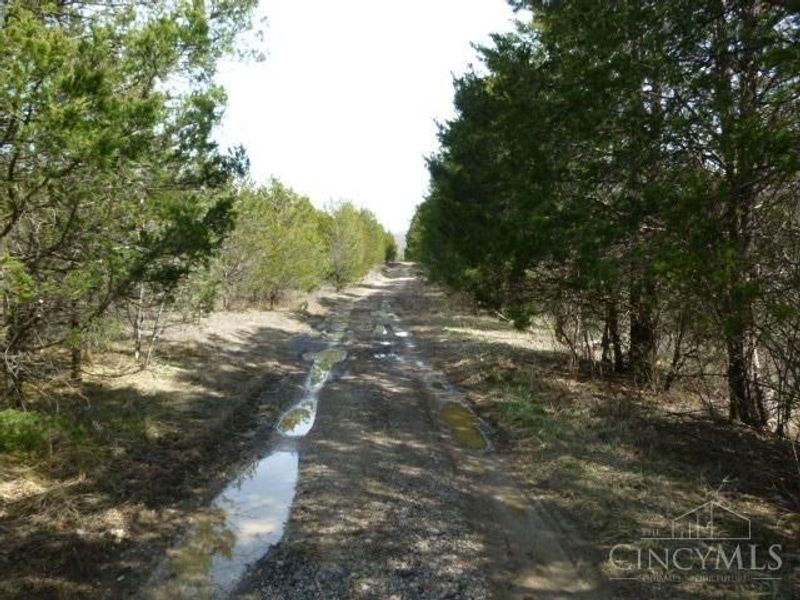 0 St Rt 41, West Union, OH 45693 Photo 49