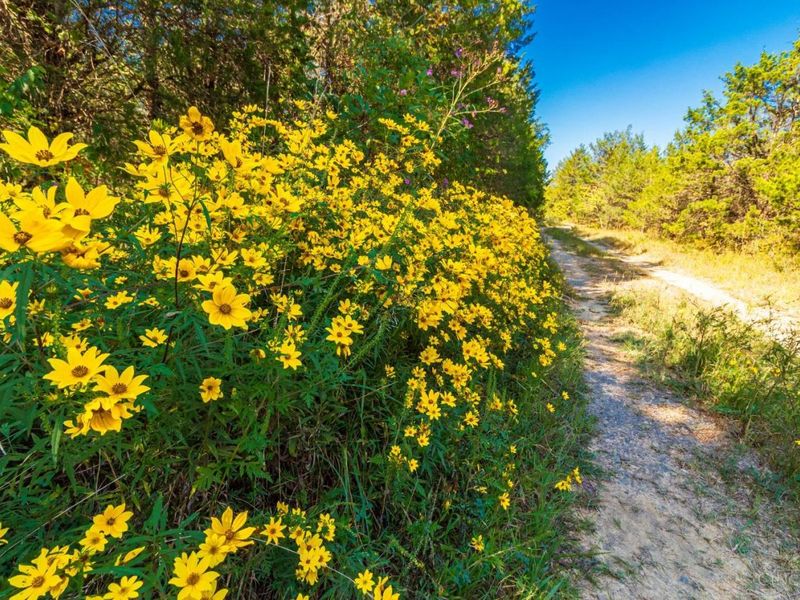 0 St Rt 41, West Union, OH 45693 Photo 59