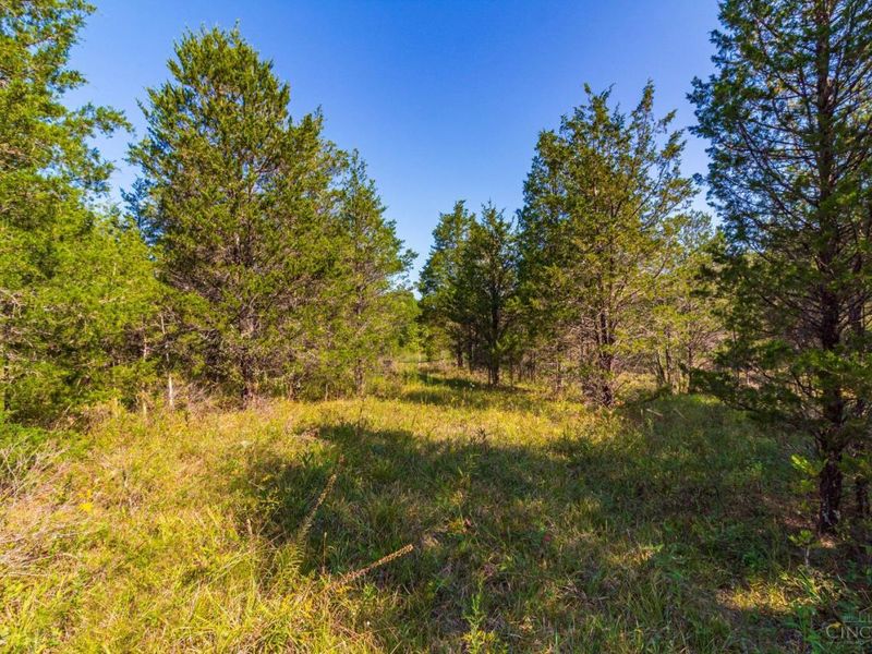 0 St Rt 41, West Union, OH 45693 Photo 60