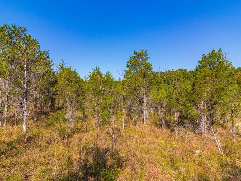 0 St Rt 41, West Union, OH 45693 Photo 62