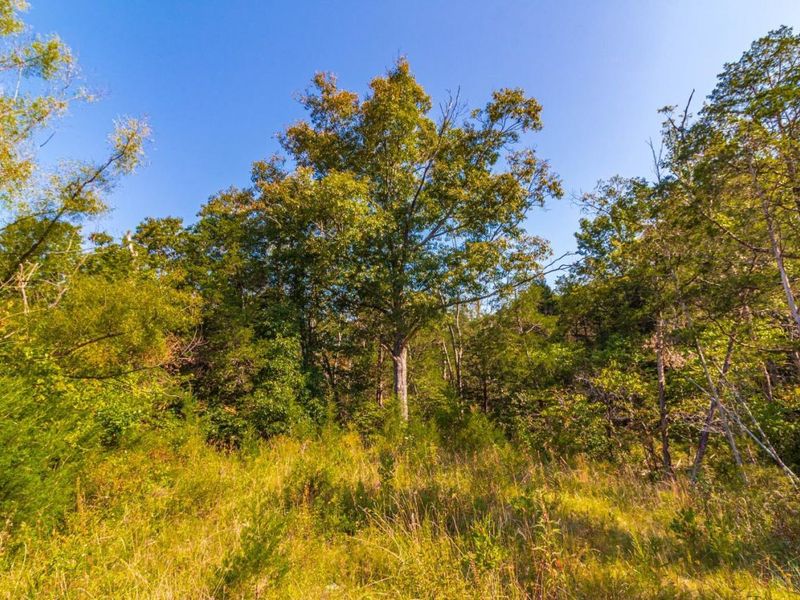 0 St Rt 41, West Union, OH 45693 Photo 64