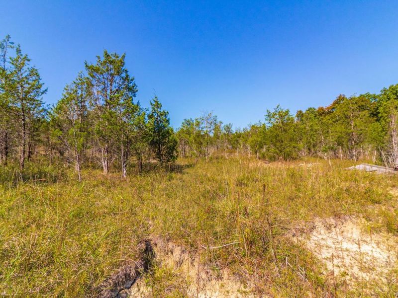 0 St Rt 41, West Union, OH 45693 Photo 65