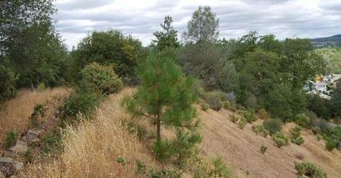 Mallard Ln, Placerville, CA 95667 Photo
