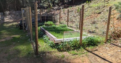 6105 Little Mountain Rd, Somerset, CA 95684 Photo