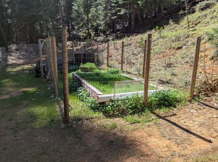 6105 Little Mountain Rd, Somerset, CA 95684 Photo