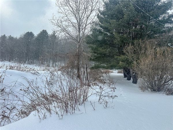 Buffalo Street , Wayland, NY 14572