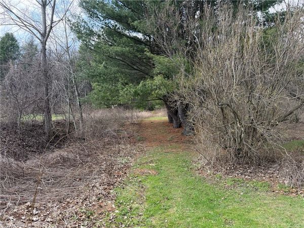 Buffalo Street, Wayland, NY 14572