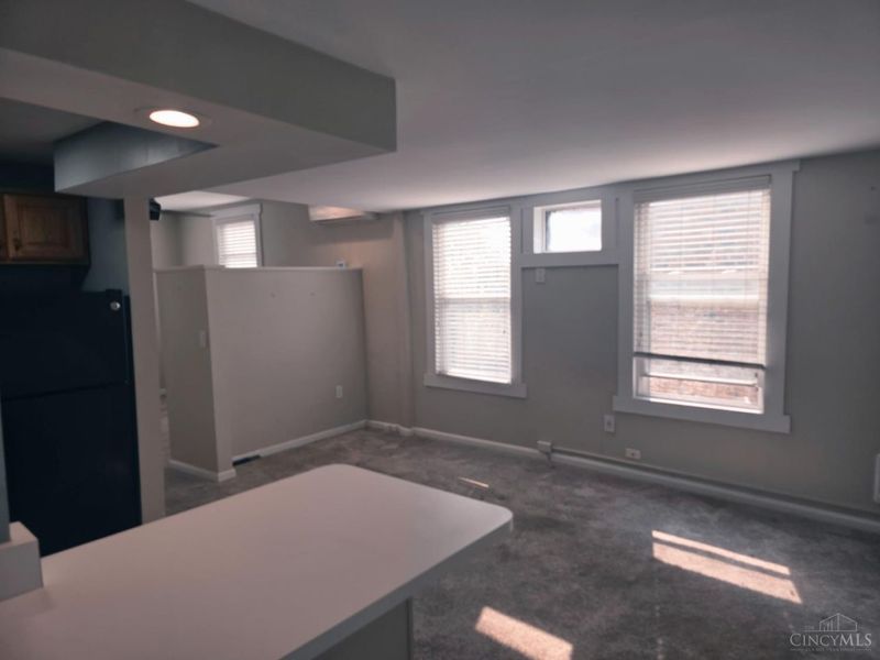 1017 St Gregory Street, Cincinnati, OH 45202 Photo 2