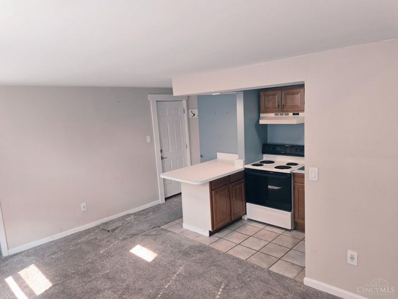 1017 St Gregory Street, Cincinnati, OH 45202 Photo 7