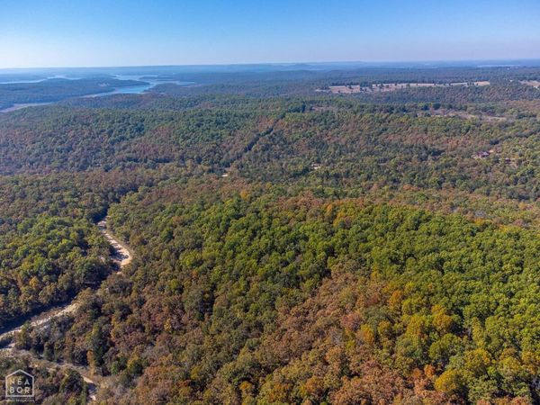 40 Acres MC #113 Road, Oakland, AR 72653