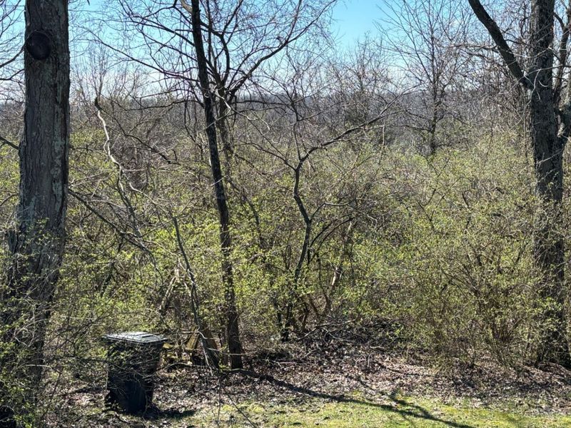 5801 Day Road, Colerain Township, OH 45252 Photo 40